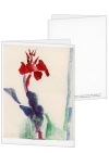 Korrespondenzkarte "Canna-Blüte"